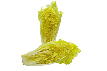 chinese cabbage on a png background.

