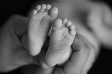 the legs of the child in the arms of the mother and the father the legs of a newborn baby . black and white photo
