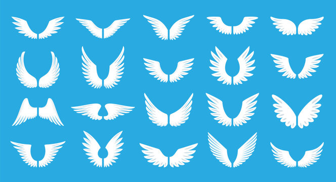 White wing with long feather. Angel or bird wings flat icon set. Aviation pilot patch badge. Heraldic vintage army insignia emblem falcon phoenix hawk. Flying winged frame. Biker logotype sticker