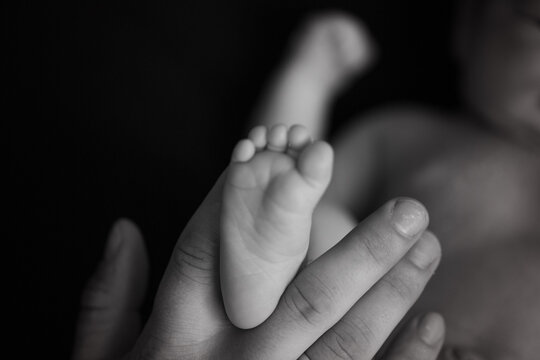 the legs of the child in the arms of the mother and the father the legs of a newborn baby . black and white photo
