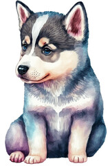 Husky Watercolor Clipart Created with Generative AI Tools