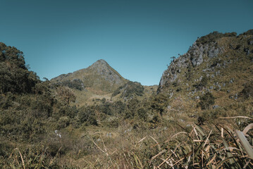 Trekking in Thailand's mountain 