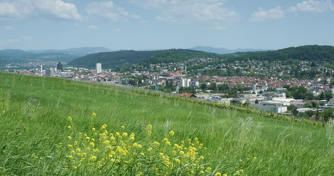  Am s&uuml;dwestlichen Rand der Stadt L&ouml;rrachs Hausberg, der Tullinger inmitten von Rebbergen und Streuobstwiesen.Herrliche Ausblicke auf die Stadt und ihre nord&ouml;stlichen Bezirke