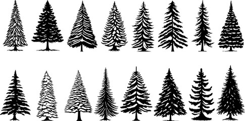 Silhouettes of fir trees of various shapes. Various types of cypress trees isolated background