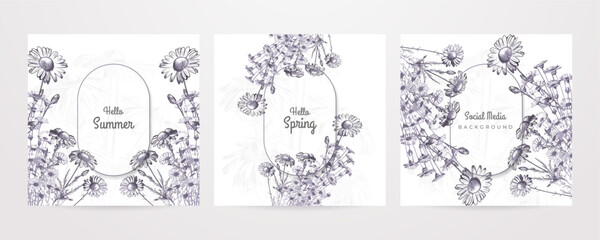 Vector hello summer background with plants summer spring floral flower colourful colorful social media template