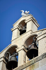Fototapeta na wymiar A Seagull over the Church Bells of Dubrovnik, Croatia