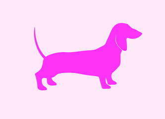 Simple Vector Illustration of Dachshund.Vibrant Pink Silhouette of Dachshund isolated on a Light Pink Background. Side View of Dog.RGB Colors.Cool Print for Dog Lovers ideal for Card, Poster,Wall Art.