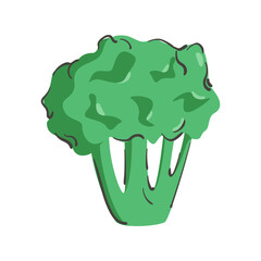 Hand drawn broccoli isolated on a white background. Vector illustration. Colorful and minimalistic. For sticker and design.