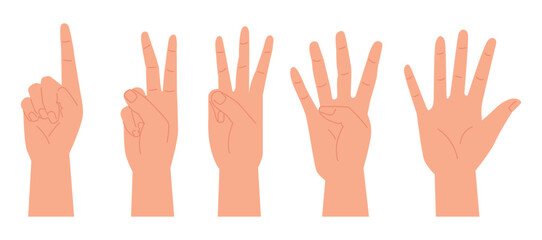 Obraz premium Hand gestures. Vector illustration set, counting fingers. Gesture palm, pointing hand, communication language, pose