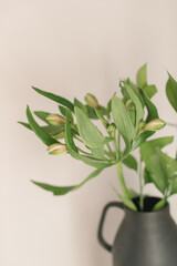 Close-up of alstroemeria flower in ceramic vase. Aesthetic minimal floral composition. Poster concept