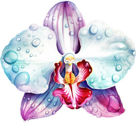 Magic and Allure of the Orchid Flower in this Whimsical Watercolor Artwork