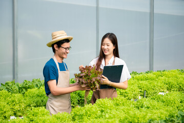 Man and woman working on lettuce plantation in farm using tablet, laptop and holding wood basket of fresh vegetables