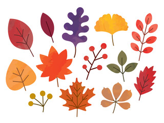 秋の葉っぱ・紅葉・楓・落ち葉のセット