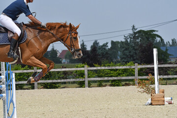 saut d'obstacle dans un concours hippique