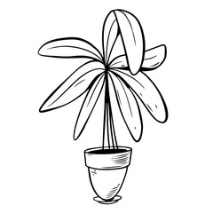 Indoor plant in a pot outline sketch vector art illustration.