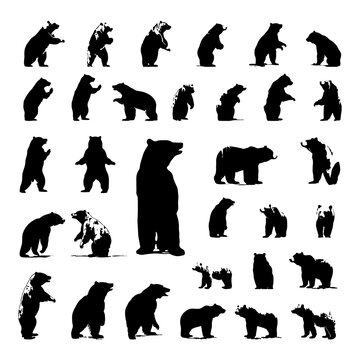 bear silhouettes set collection, various poses and position
