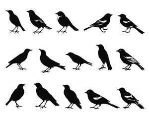 Fototapeta premium bird silhouettes artistic vector collection, isolated on white