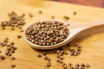 Close up of dried coriander seed aromatic spice ingredients asia food.