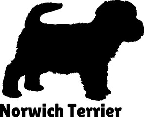  Norwich Terrier Dog puppies silhouette. Baby dog silhouette. Puppy
