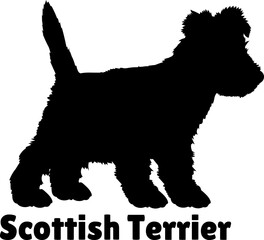 Scottish Terrier. Dog puppies silhouette. Baby dog silhouette. Puppy