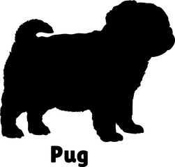 Pug Dog puppies silhouette. Baby dog silhouette. Puppy