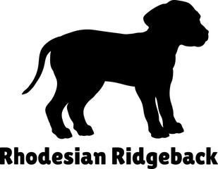  Rhodesian Ridgeback Dog puppies silhouette. Baby dog silhouette. Puppy