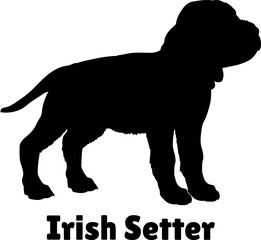 Irish Setter. Dog puppies silhouette. Baby dog silhouette. Puppy
