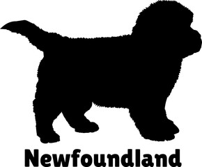 Newfoundland Dog puppies silhouette. Baby dog silhouette. Puppy
