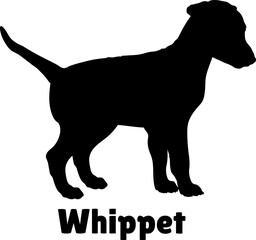 Whippet Dog puppies silhouette. Baby dog silhouette. Puppy
