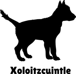 Xoloitzcuintle Dog puppies silhouette. Baby dog silhouette. Puppy