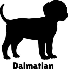 Dalmatian Dog puppies silhouette. Baby dog silhouette. Puppy