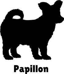 Papillon Dog puppies silhouette. Baby dog silhouette. Puppy