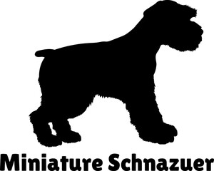 Miniature Schnazuer Dog puppies silhouette. Baby dog silhouette. Puppy