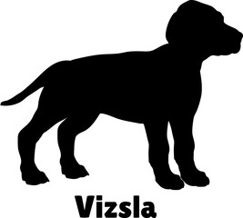 Vizsla Dog puppies silhouette. Baby dog silhouette. Puppy