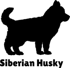 Siberian Husky. Dog puppies silhouette. Baby dog silhouette. Puppy