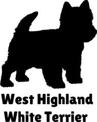 West Highland White Terrier Dog puppies silhouette. Baby dog silhouette. Puppy
