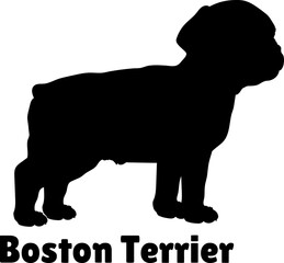 Boston Terrier. Dog puppies silhouette. Baby dog silhouette. Puppy