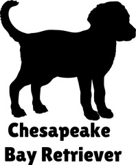 Chesapeake Bay Retriever Dog puppies silhouette. Baby dog silhouette. Puppy