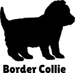 Border Collie Dog puppies silhouette. Baby dog silhouette. Puppy