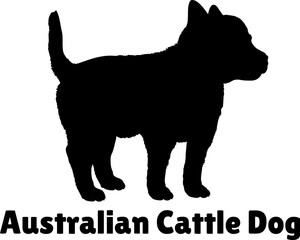Australian Cattle Dog Dog puppies silhouette. Baby dog silhouette. Puppy
