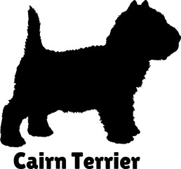 Cairn Terrier Dog puppies silhouette. Baby dog silhouette. Puppy