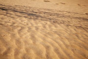 tracks of small insects in the uzbek desert