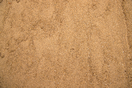 Golden Sand  texture may be used as a background wallpaper