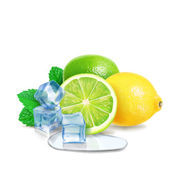 Mint, lime, lemon and ice cubes. Mojito or ice tea realistic illustration. Vector
