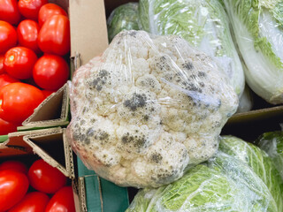 Spoiled cauliflower with mold in a hypermarket. Selective focus