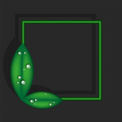 Two green leaves and realistic dew drops with shadows 3d blank frame square shape on dark background, eco design mockup vector illustration.