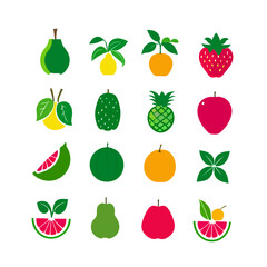 set of fruits and berries.vector set of fresh fruit icon