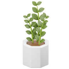 Zamioculcas Zamiifolia Houseplant Potted 3D Icon