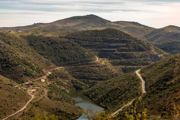 Fototapeten La Côa près de la confluence avec le Douro à Vila Nova de Foz Côa, Beira Alta, Portugal © Jorge Alves