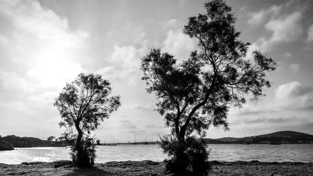 sea and coast in paros